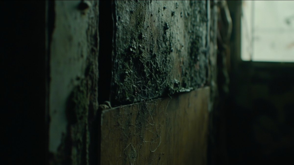 Mould & Damp in a Rental Who Is Responsible — Malaysia