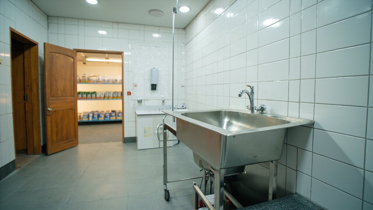 Pet grooming salon with a raised wash tub, tiled wall and anti-slip floor behind a retail front
