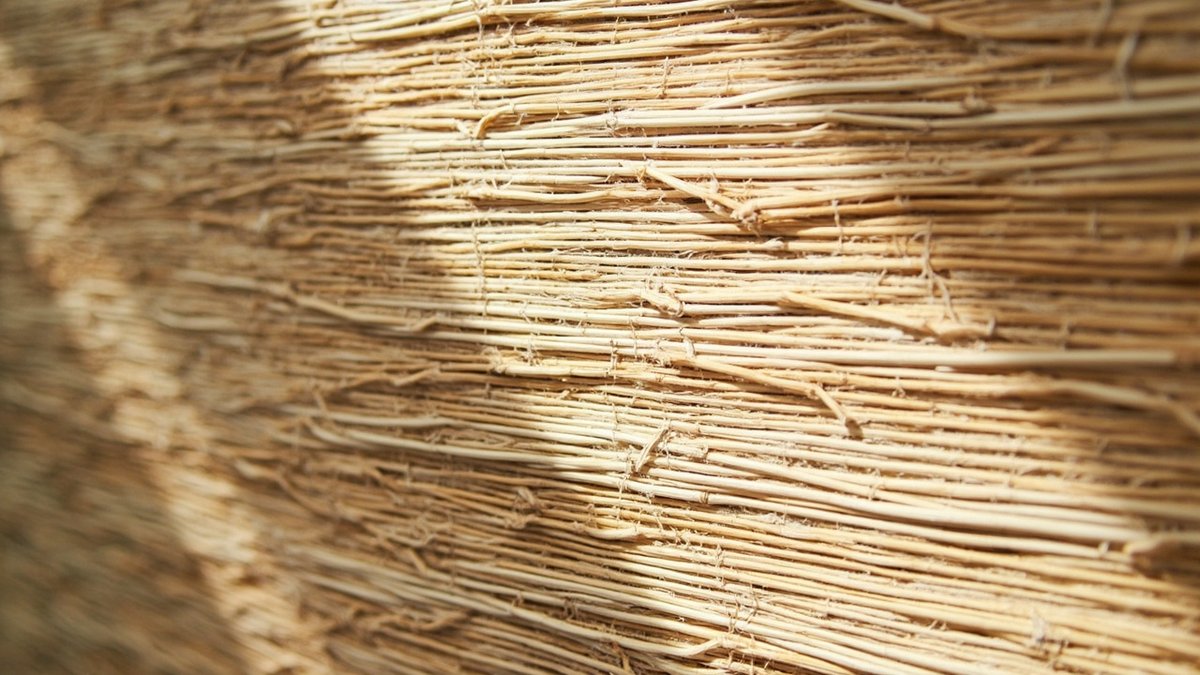 Close-up of natural grasscloth fabric wallpaper