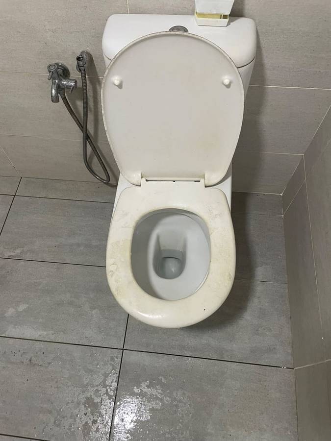 Before: Toilet seat renewal