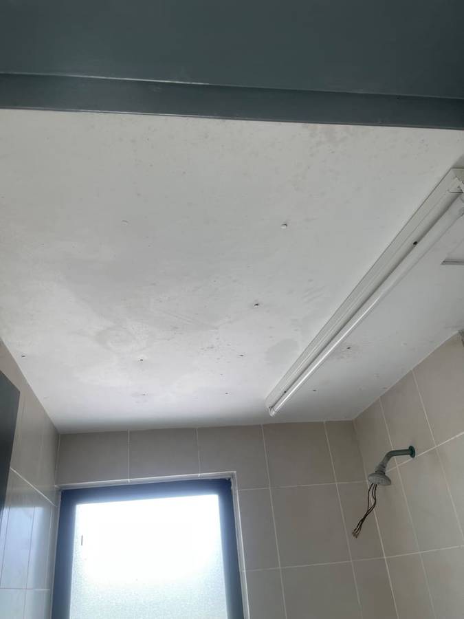 Before: Plaster ceiling repair & repaint