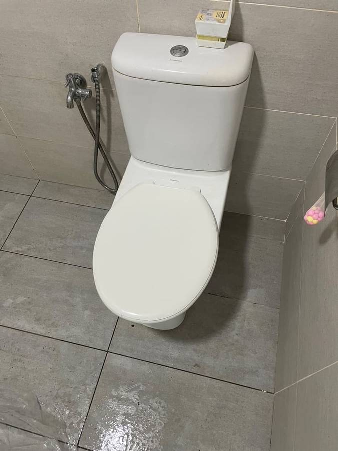 After: Toilet seat renewal