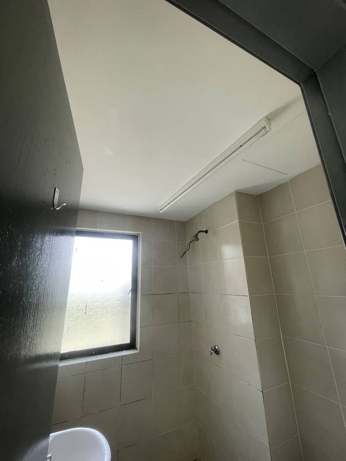 After: Plaster ceiling repair & repaint